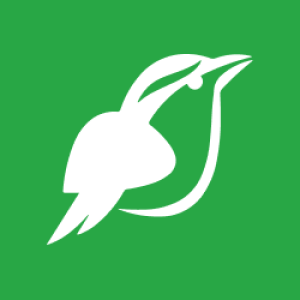 Picture of WebPlover